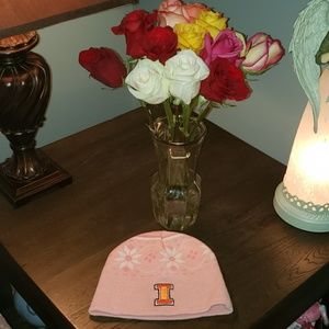 New T.E.I. University of Illinois Snowflake Beanie